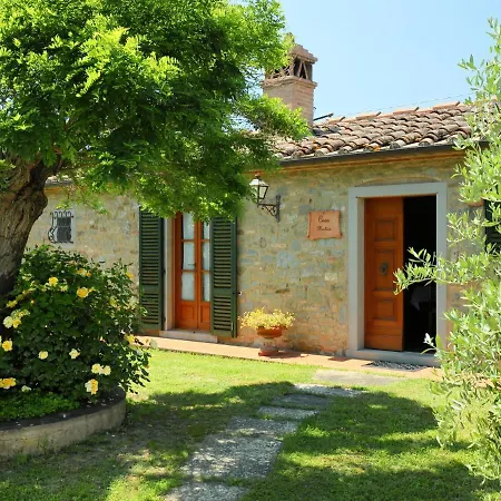Martina By Interhome Holiday home Cortona